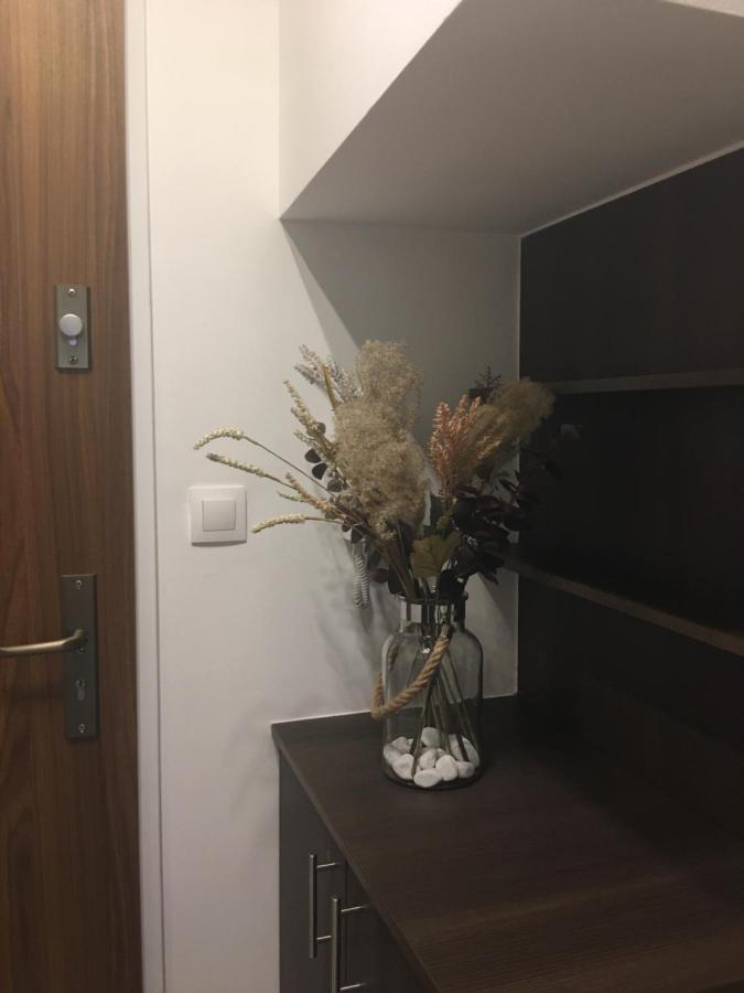 Home Apartment شوبرون المظهر الخارجي الصورة