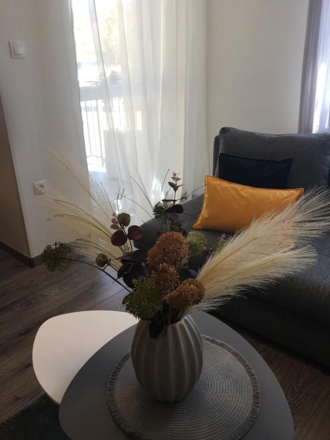 Home Apartment شوبرون المظهر الخارجي الصورة